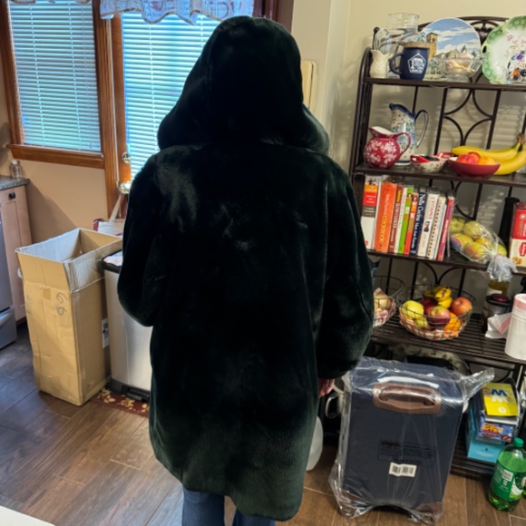 Michel Alexis Faux Fur Green Coat - Picture 6 of 8